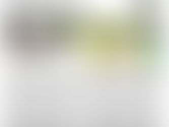 Sicherheitsfahrtraining