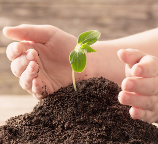 FL Customer Engagement, Loyalty & Satisf