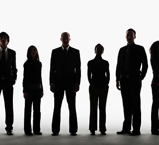 FL Employee Surveys.png