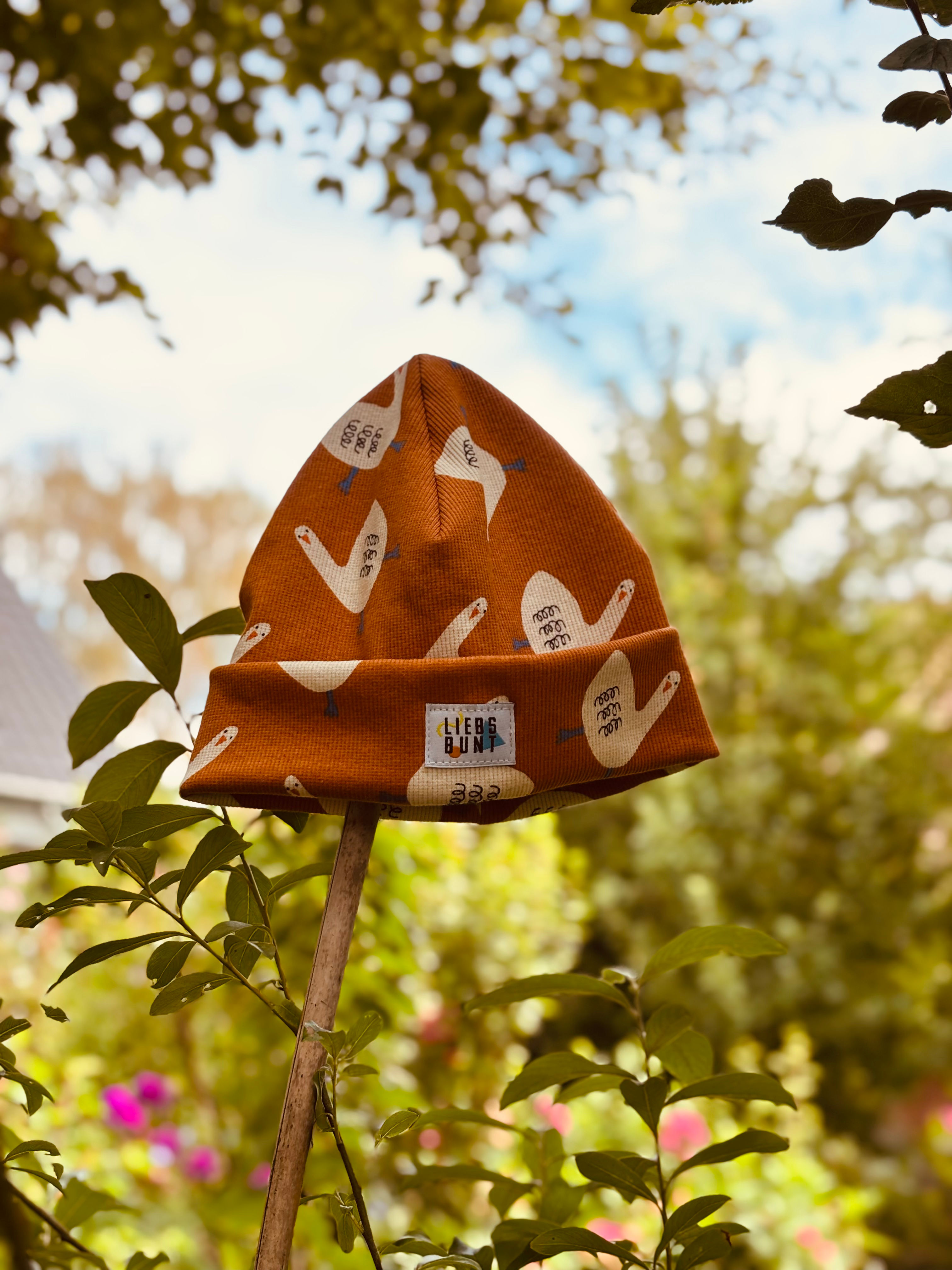 Liebsorange Gans