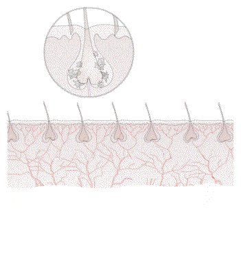 new_388d0c_06b55b5cc7c94919b9fe19c7e115db74.gif