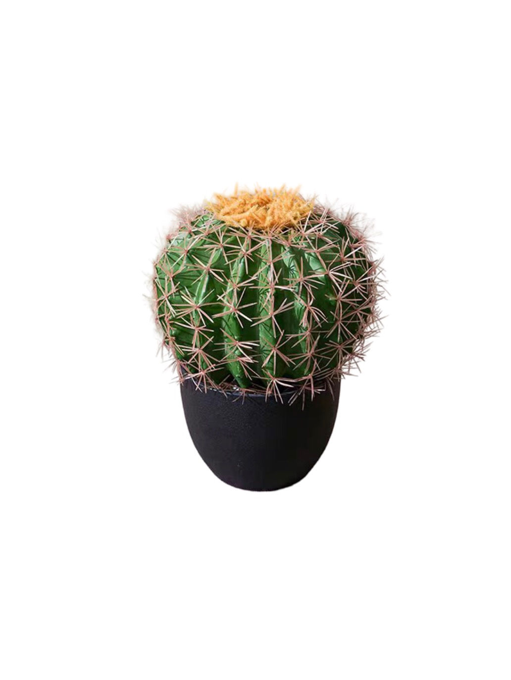 Columnar Cactus