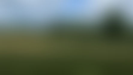 Green Space May Add Years to Life