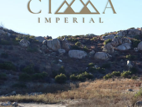 Terrenos Campestres: La Oportunidad de Invertir en una Vinícola en valle de Guadalupe, BC