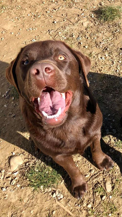 322020837_907994450555983_2945804722419480544_n