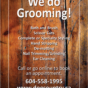 Pet Services and Supplies Promotion