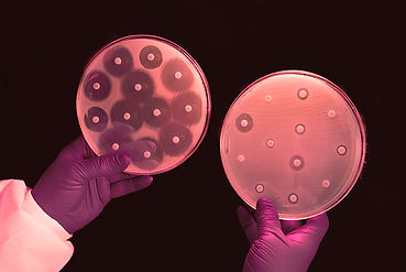 antibiotic-susceptibility-research-antimicrobial-resistance-14.jpeg