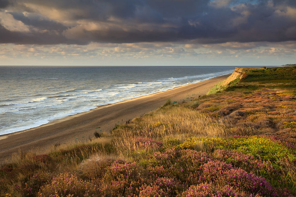 Nature-Based Interventions for Coastal Resilience in Suffolk