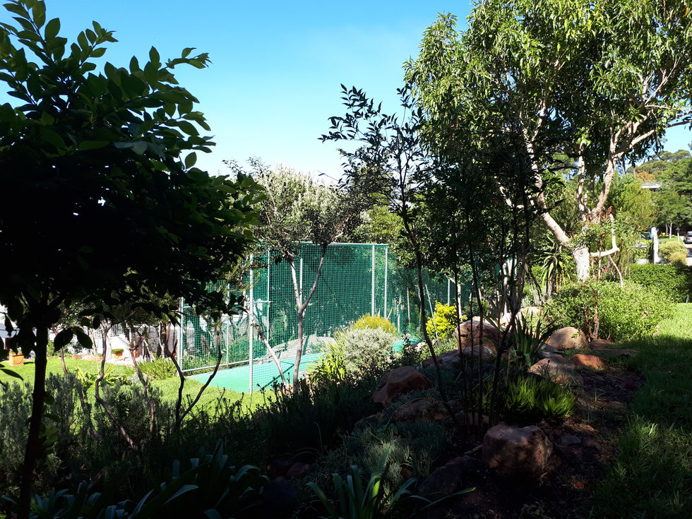 Residential Landscape Design