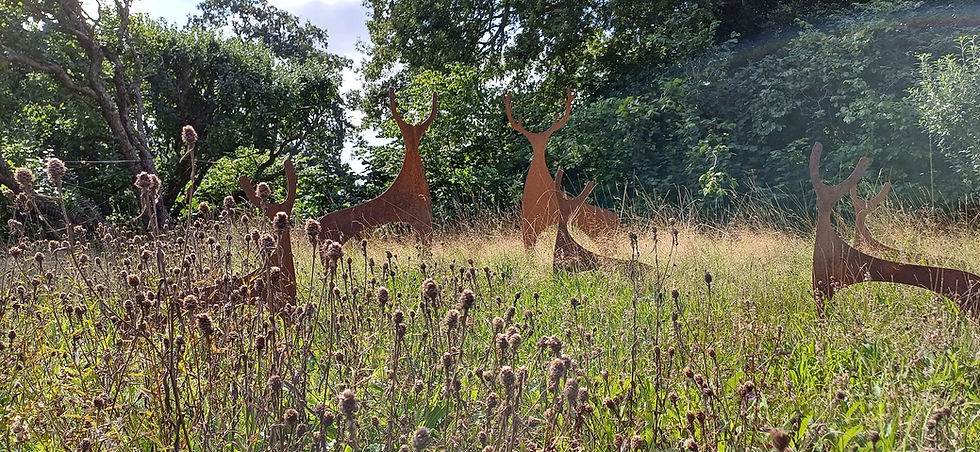 Helmingham Hall - light touch sculptural elements that mirror the farming and agricultural context