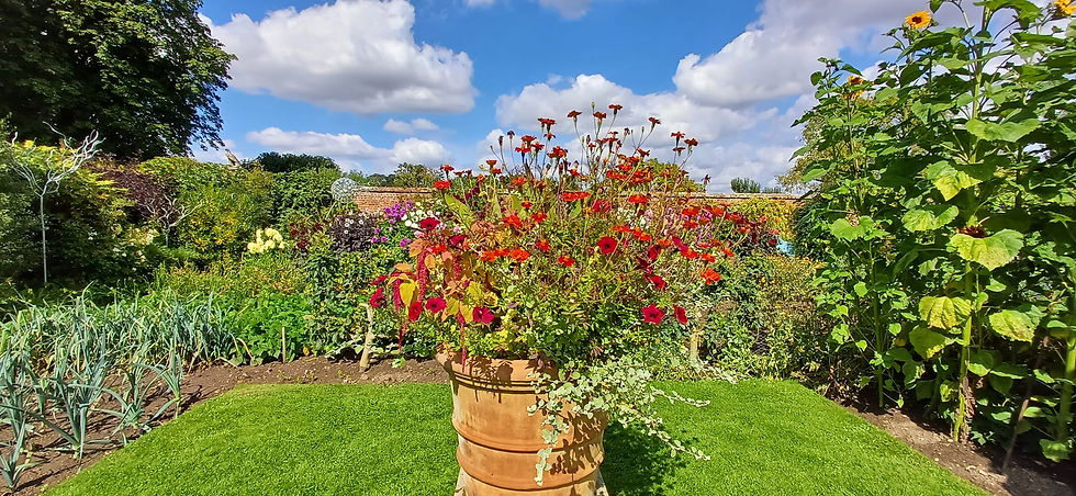 Helmingham Hall - voluptuous plantings in oversized pots