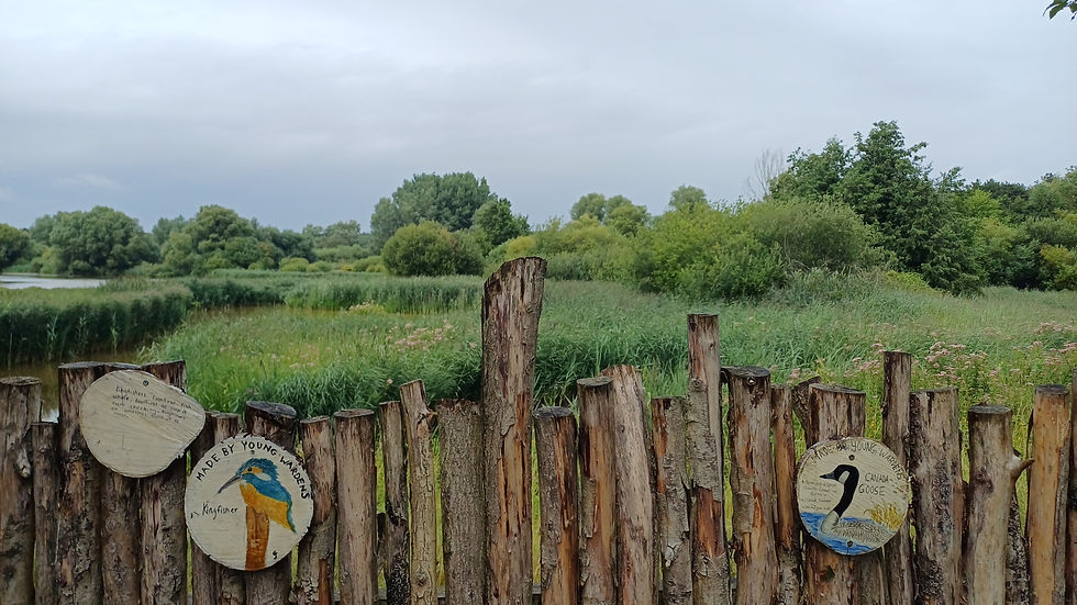 Interpretative Signage & Wayfinding