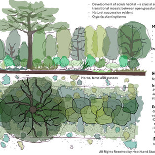 Discover the ecological importance of UK hedgerows, their role as wildlife corridors, and how species-rich planting, scrub habitat and sustainable management support biodiversity, landscape resilience and Biodiversity Net Gain.
