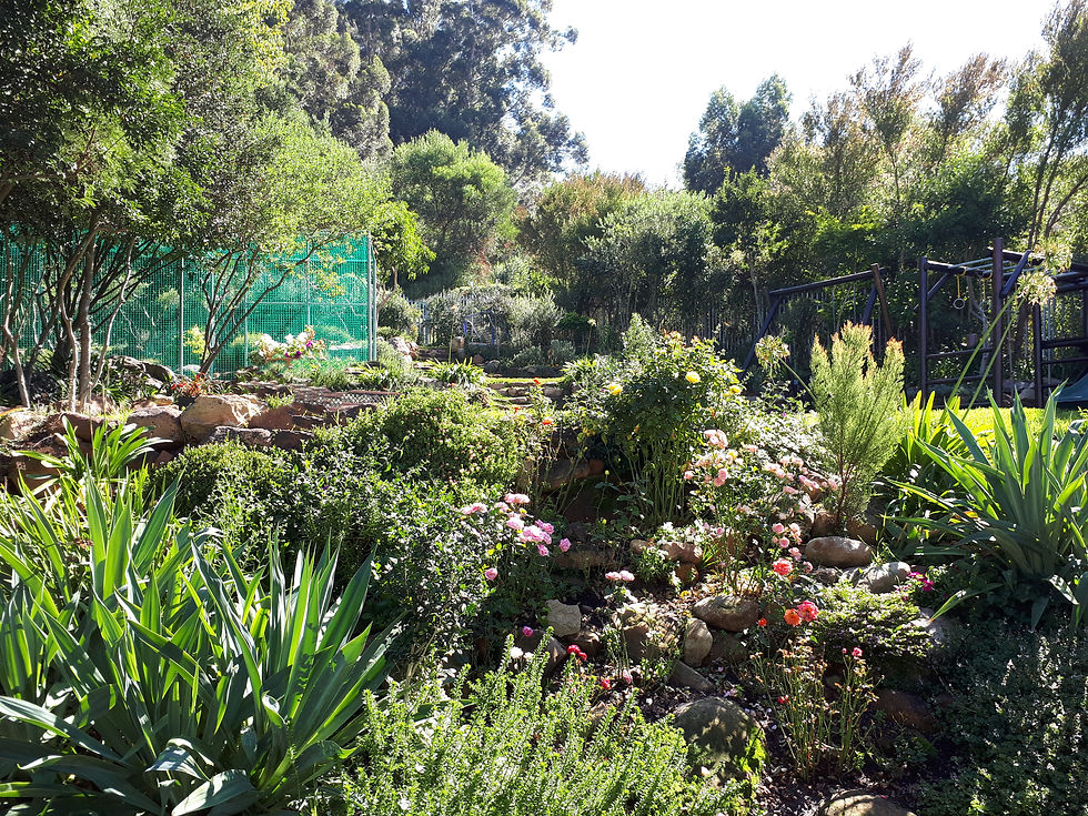 Rock Garden on Steep Embankment
