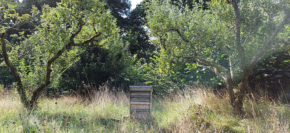 Helmingham Hall - elements in the landscape that encourage biodiversity