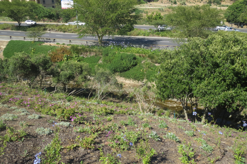 Following a landscape-led Sustainable Urban Drainage Systems SuDS design