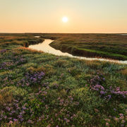 Designing to ensure ecological resilience.