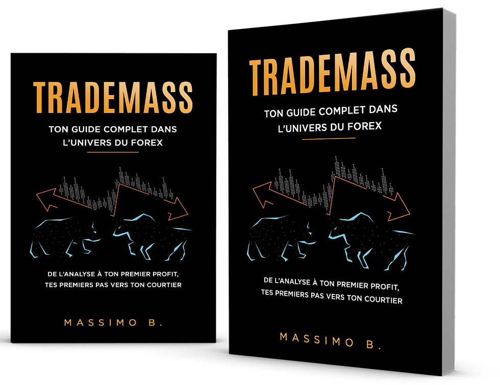 Miniature : FX Trading E-book FR