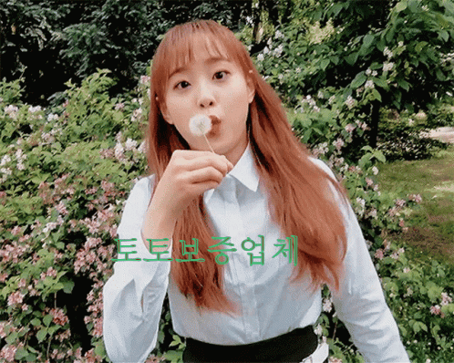 토토보증업체 이벤트