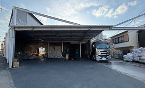 IMG_7242_edited.jpg