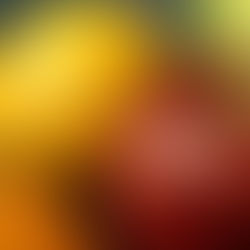 Five Practices of Fruitful Congregations