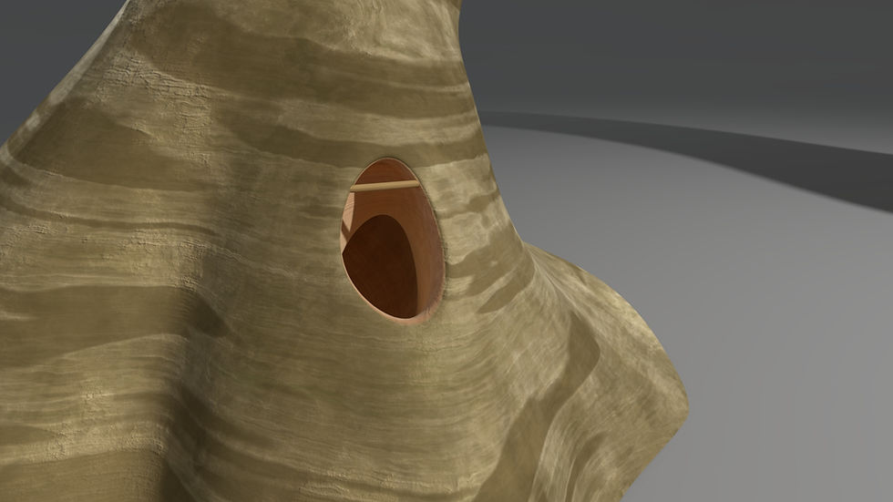 racinePastou_surf004