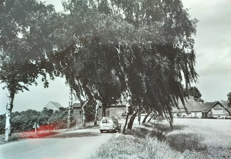 Schwarz-Weiß-Foto: Auto fährt auf Landstraße entlang Bäumen. Im Hintergrund Häuser. Ländliche Szenerie, ruhige Stimmung.