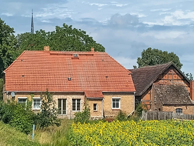 Blick über Sonnenblumenfeld mit modernisiertem Bauernhaus im Hintergrund