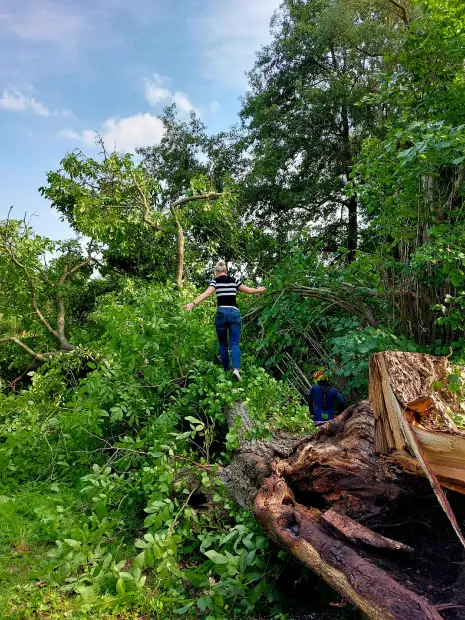 Frau balanciert auf gefälltem Baum