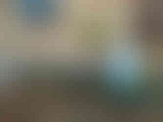 Ein Blumenbeet mit noch nicht gepflanzten Pflanzen