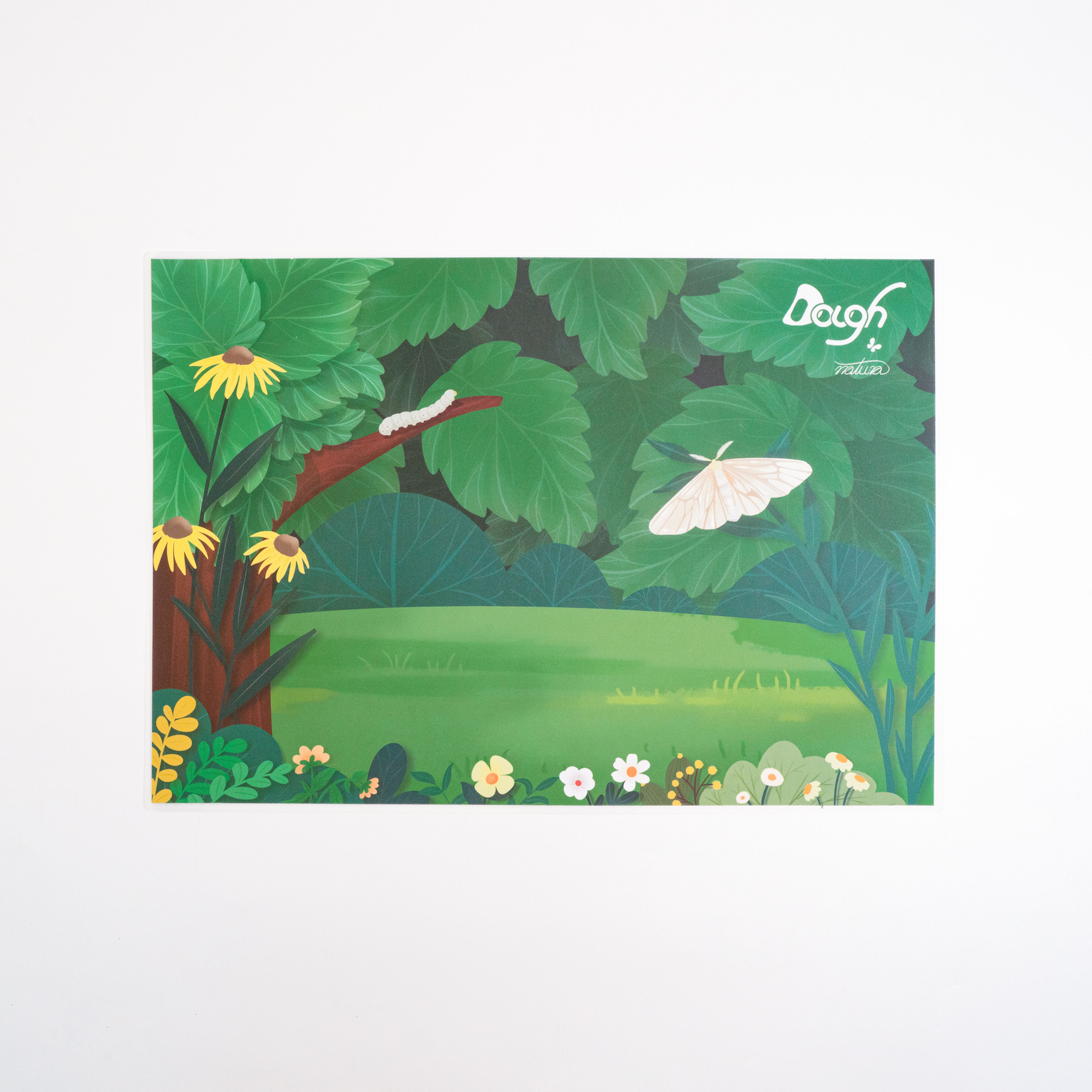 Playmat - Silkworm Life Cycle