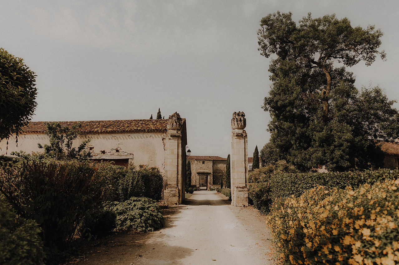 © Fauve par Celine Z