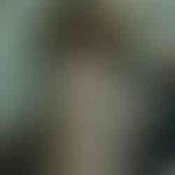 Daphné arrive au bal par les escaliers. Issu de La Chronique des Bridgerton