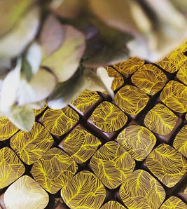 Chocolates from Chocolaterie la Cigale