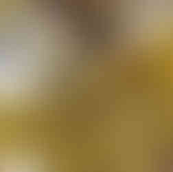 Chocolats de la Chocolaterie la Cigale