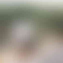 Cocktail sur les terrasses