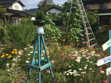 ひまわり撮影舞台裏