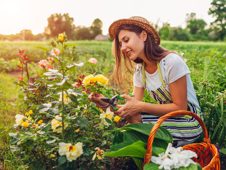 Crossroads Of Utility And Aesthetic In Gardening Hats