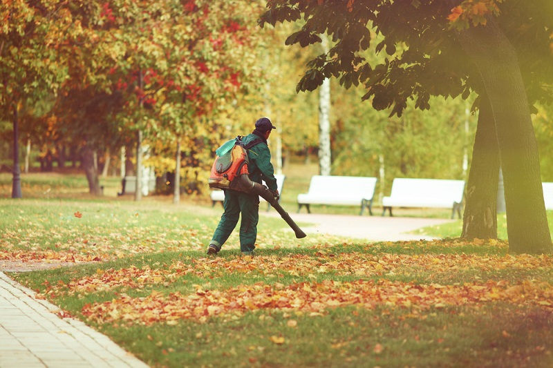 leaf blowers australia