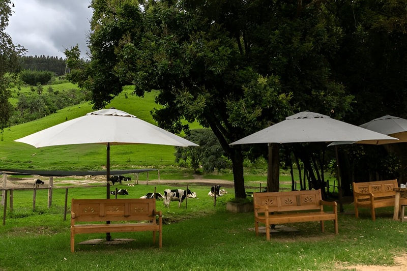heavy duty umbrella