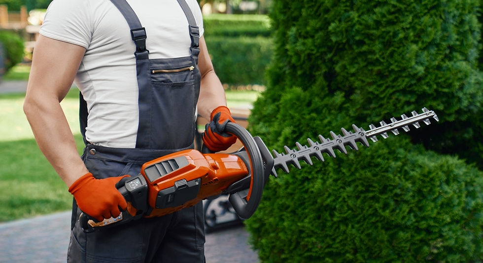 Hedge Trimmer