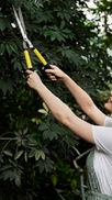 tree pruning service