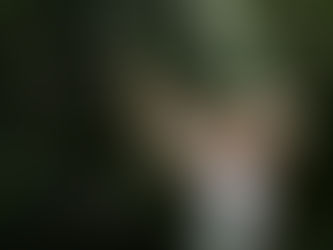 tree pruning service