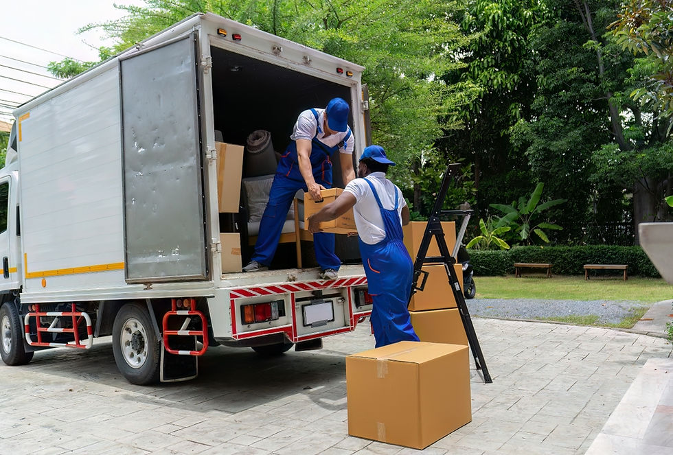 Removalists