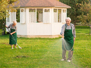 Professional Lawn Maintenance: The Key to a Healthier and Greener Yard