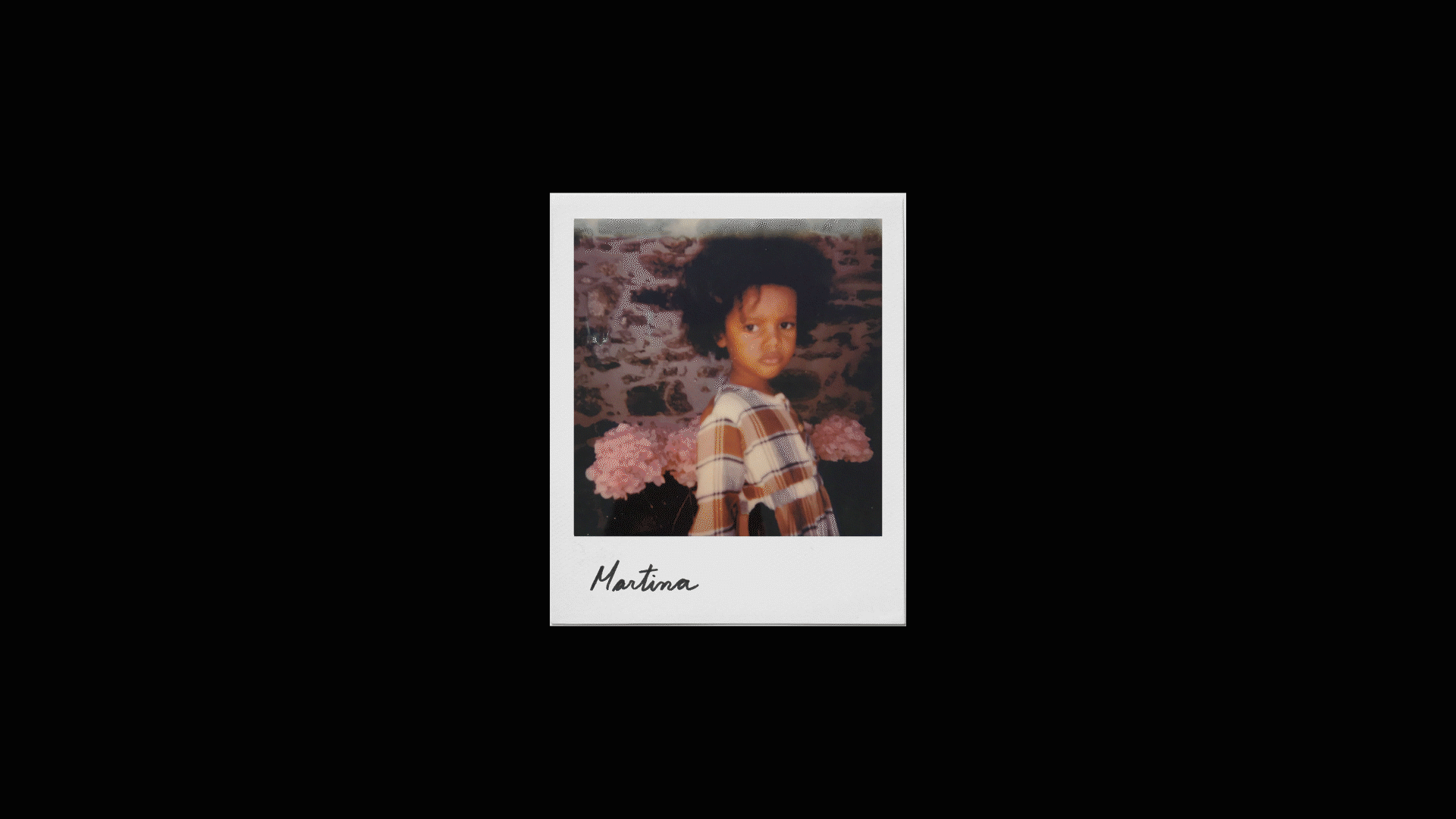 Polaroids