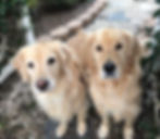 charlie and baxter