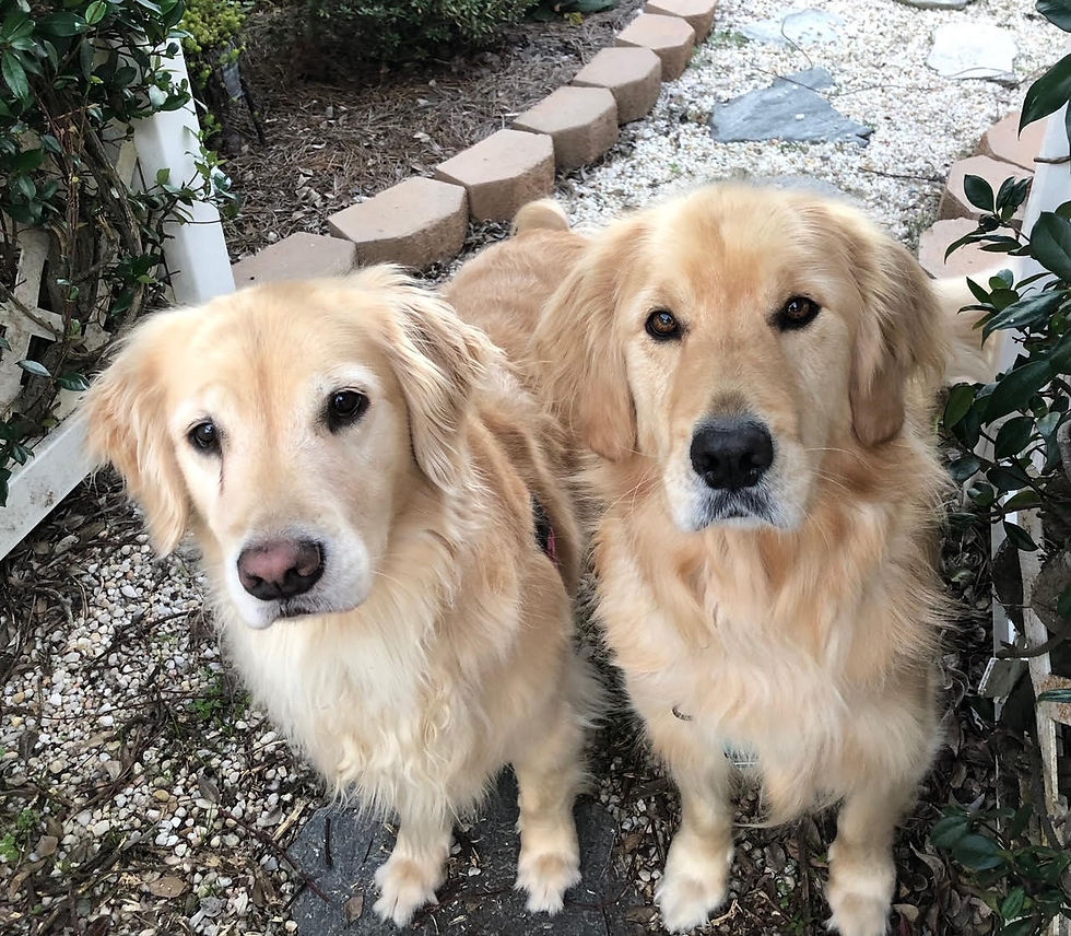 charlie and baxter
