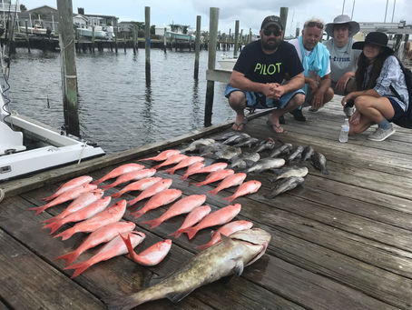 BOTTOM FISH ARE HUNGRY