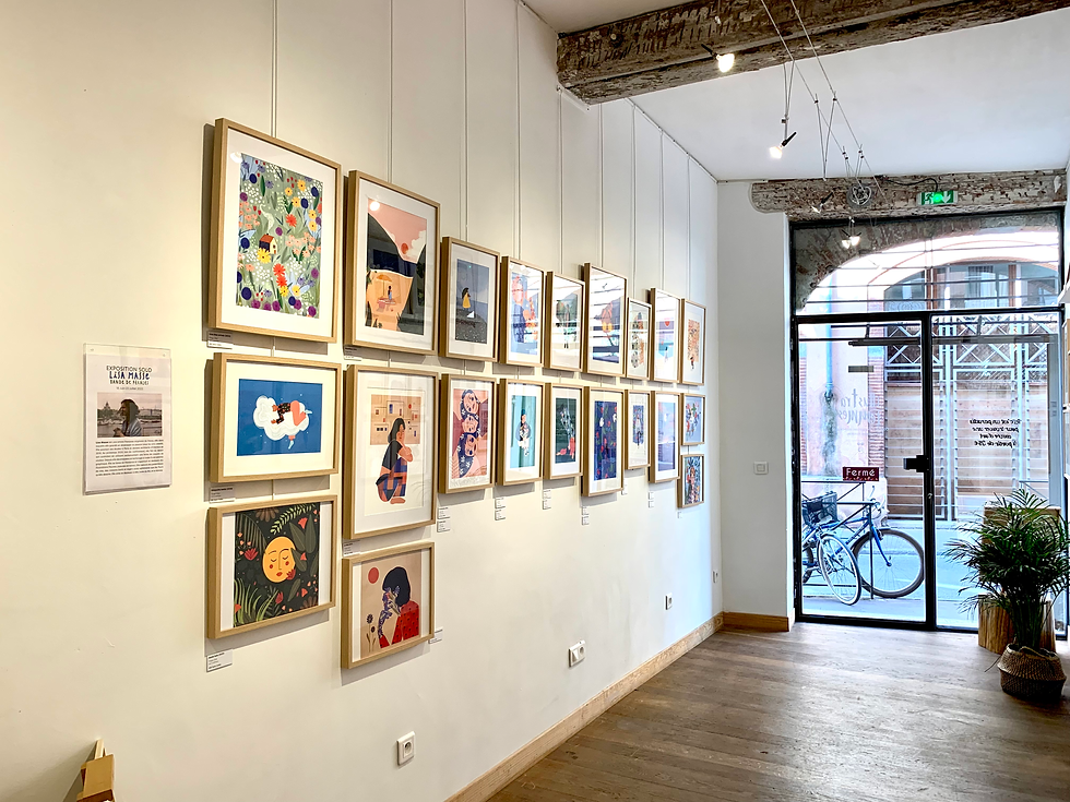 Lisa Masse-expo-solo-illustrafemmes-galerie-art-Toulouse.jpg